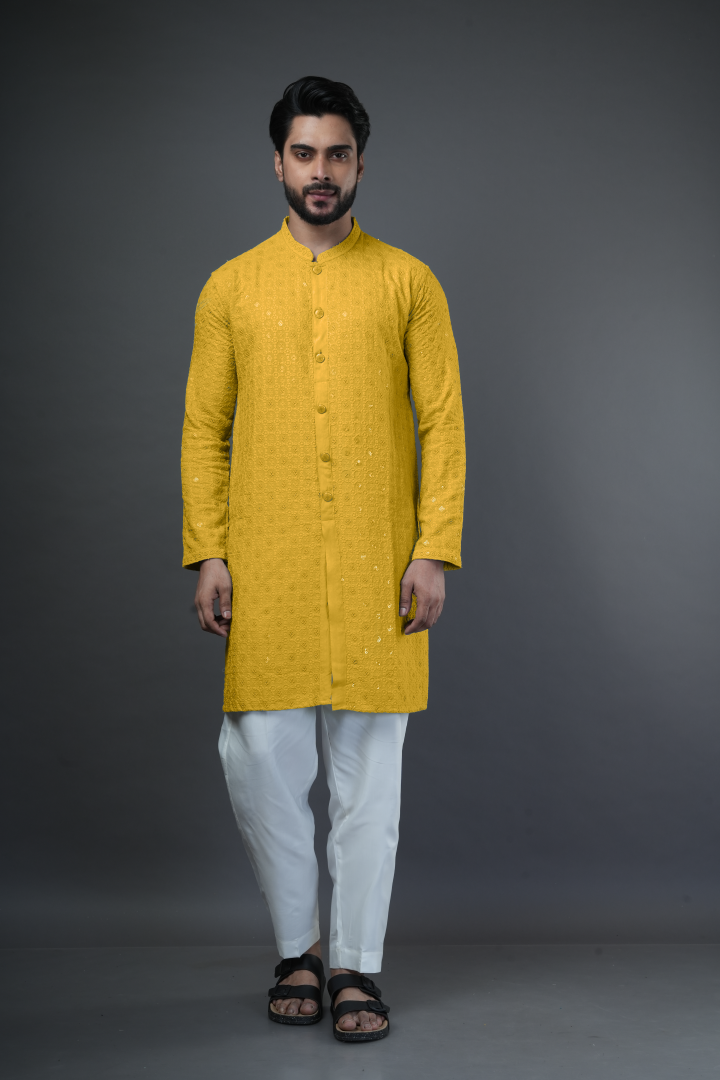 Shiffli embroidered kurta