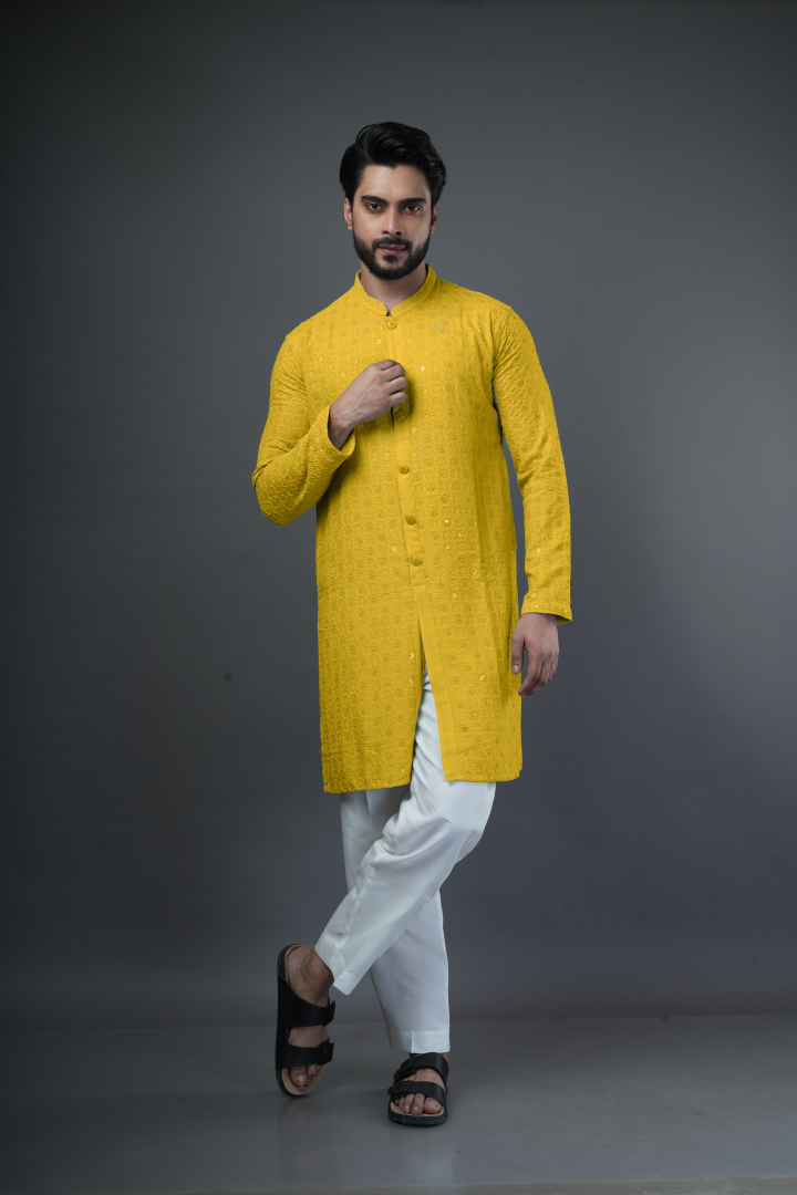 Shiffli embroidered kurta