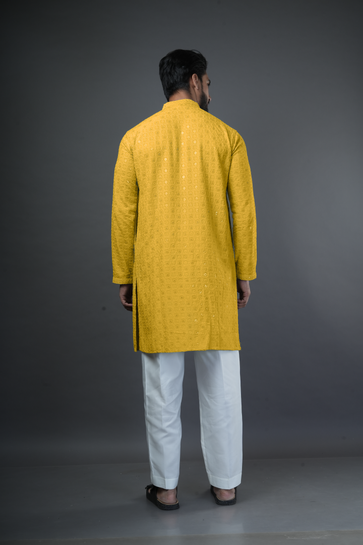 Shiffli embroidered kurta